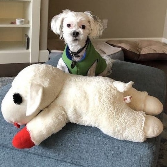 THE BIGGEST JUMBO “LAMB CHOP”.CLASSIC LICENSED PLUSH DOG TOY 25.5… - Picture 5 of 15